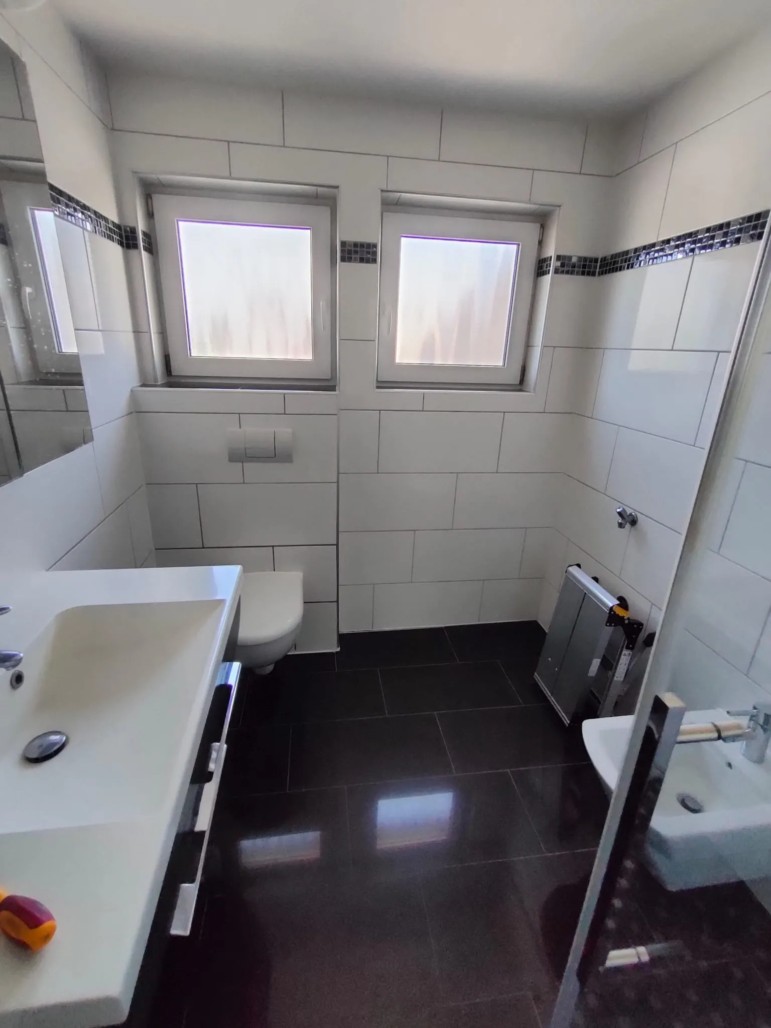 R HWDS Renovierung Mainz