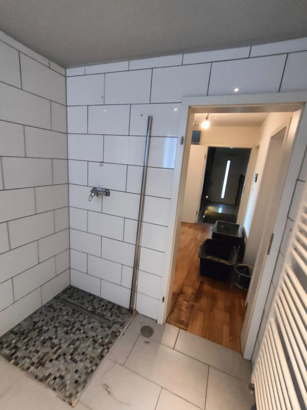 R HWDS Renovierung Mainz