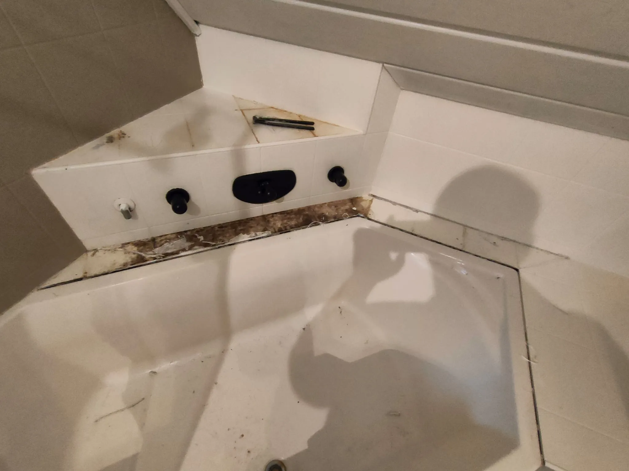 R HWDS Renovierung Mainz